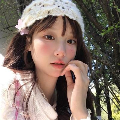 山茶花飘零
